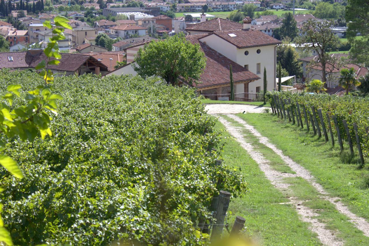 Вилла La Costa Fattoria Sociale Sarcedo Экстерьер фото